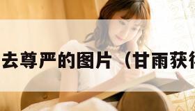 甘雨失去尊严的图片（甘雨获得图片）