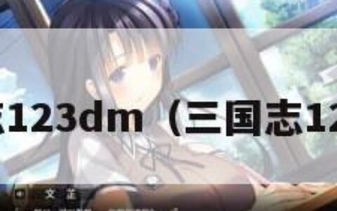 三国志123dm（三国志123DM）