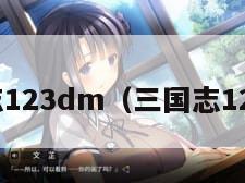 三国志123dm（三国志123DM）
