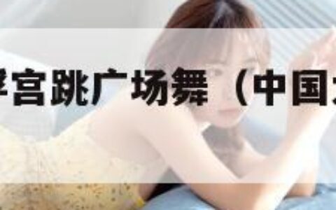 中国大妈卢浮宫跳广场舞（中国大妈卢浮宫洗脚）