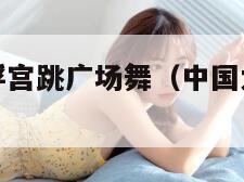 中国大妈卢浮宫跳广场舞（中国大妈卢浮宫洗脚）