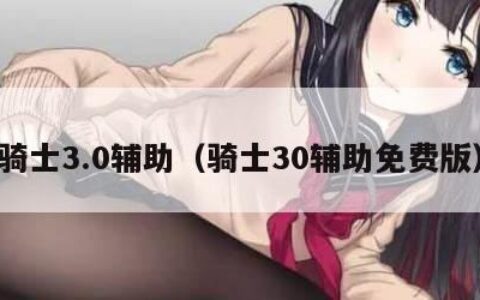 骑士3.0辅助（骑士30辅助免费版）