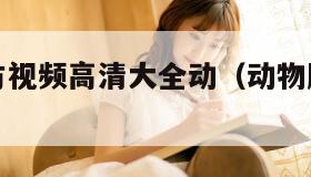 动物胶配方视频高清大全动（动物胶配方的视频）