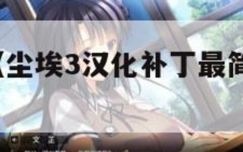 尘埃3汉化（尘埃3汉化补丁最简单三个步骤）