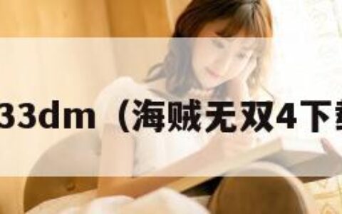 海贼无双33dm（海贼无双4下载手机版）