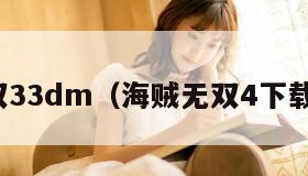 海贼无双33dm（海贼无双4下载手机版）