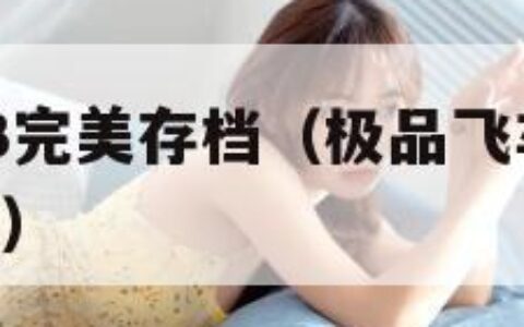 极品飞车13完美存档（极品飞车13安卓版数据包下载）