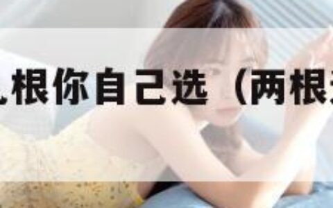 两根还是十几根你自己选（两根还是十几根你自己选作文）