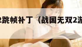 战国无双2跳帧补丁（战国无双2游戏速度过快）