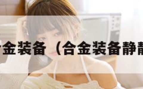 合金装备（合金装备静静）