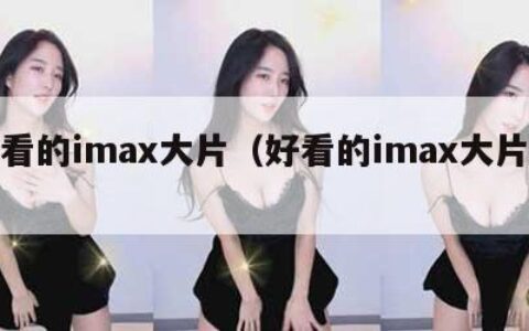 好看的imax大片（好看的imax大片新）