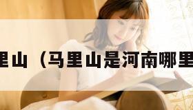 马里山（马里山是河南哪里的）