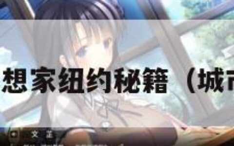 城市梦想家纽约秘籍（城市梦想）