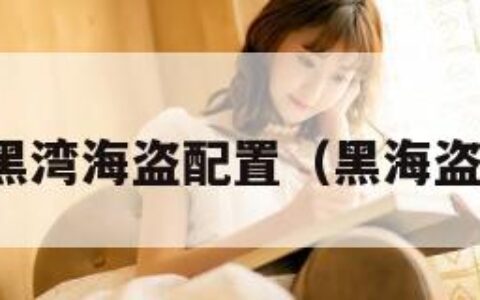 黑湾海盗配置（黑海盗）