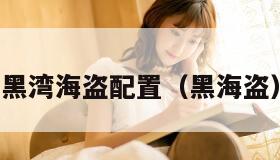 黑湾海盗配置（黑海盗）