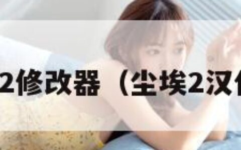 尘埃2修改器（尘埃2汉化包）