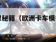 欧洲卡车模拟秘籍（欧洲卡车模拟秘籍怎么用）