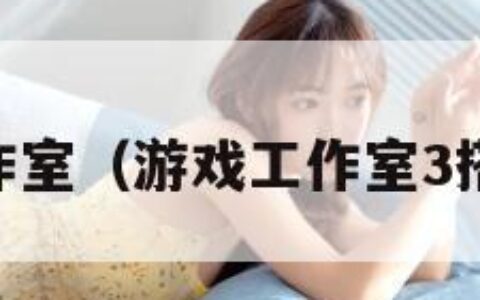 3dm工作室（游戏工作室3搭配攻略）