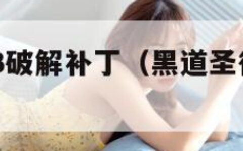 黑道圣徒3破解补丁（黑道圣徒3steam汉化补丁）