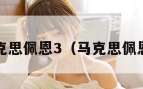 马克思佩恩3（马克思佩恩2）
