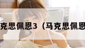 马克思佩恩3（马克思佩恩2）