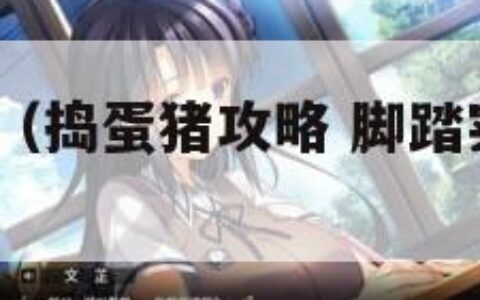 捣蛋猪攻略（捣蛋猪攻略 脚踏实地特殊关2）