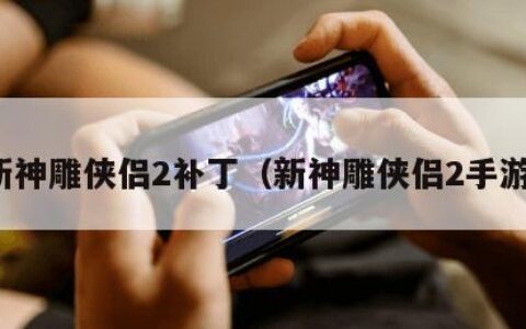 新神雕侠侣2补丁（新神雕侠侣2手游）