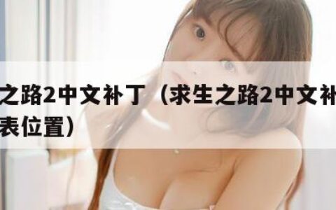 求生之路2中文补丁（求生之路2中文补丁的注册表位置）