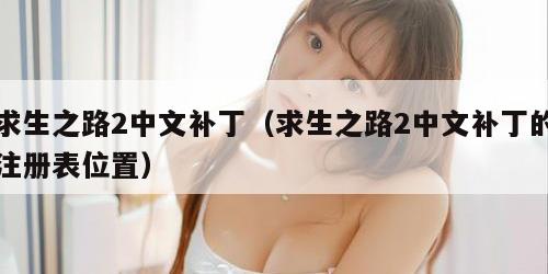 求生之路2中文补丁（求生之路2中文补丁的注册表位置）