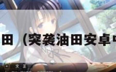 突袭油田（突袭油田安卓中文版）