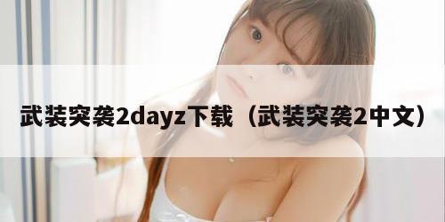 武装突袭2dayz下载（武装突袭2中文）