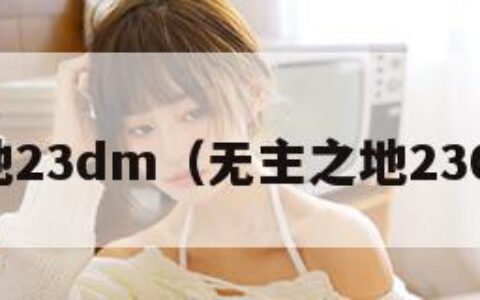 无主之地23dm（无主之地230级开局）