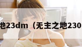 无主之地23dm（无主之地230级开局）