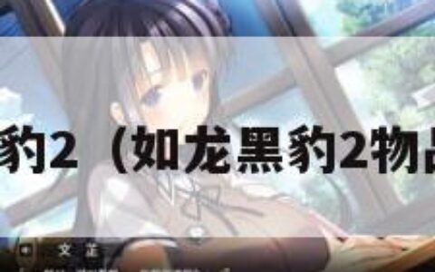 如龙黑豹2（如龙黑豹2物品翻译）