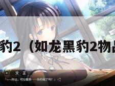 如龙黑豹2（如龙黑豹2物品翻译）