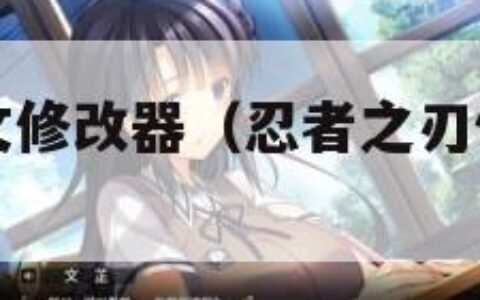 忍者之刃中文修改器（忍者之刃修改器怎么用）