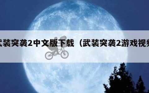 武装突袭2中文版下载（武装突袭2游戏视频）