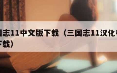 三国志11中文版下载（三国志11汉化移动版下载）