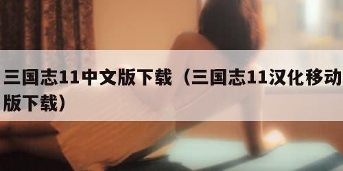 三国志11中文版下载（三国志11汉化移动版下载）