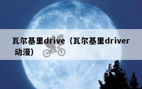 瓦尔基里drive（瓦尔基里driver 动漫）