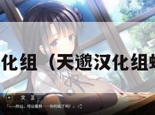 天邈汉化组（天邈汉化组蝙蝠侠）