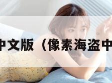 像素海盗中文版（像素海盗中文版下载）