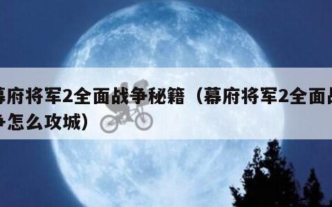 幕府将军2全面战争秘籍（幕府将军2全面战争怎么攻城）