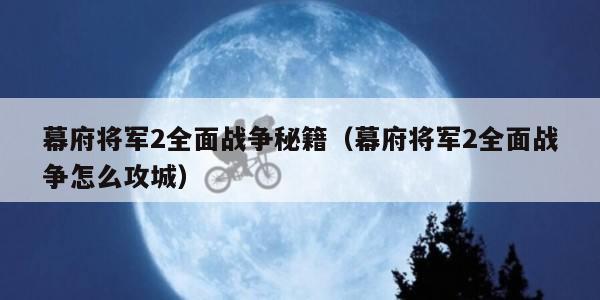 幕府将军2全面战争秘籍（幕府将军2全面战争怎么攻城）