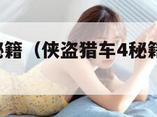 侠盗猎车4秘籍（侠盗猎车4秘籍大全代码怎么用）