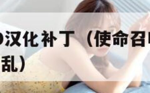 使命召唤10汉化补丁（使命召唤10汉化补丁后文字错乱）