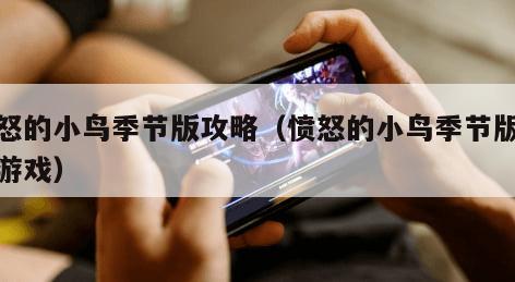 愤怒的小鸟季节版攻略（愤怒的小鸟季节版乐玩游戏）