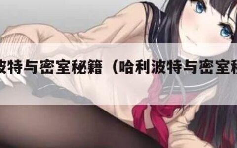 哈利波特与密室秘籍（哈利波特与密室秘密地点）