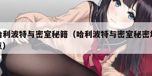 哈利波特与密室秘籍（哈利波特与密室秘密地点）