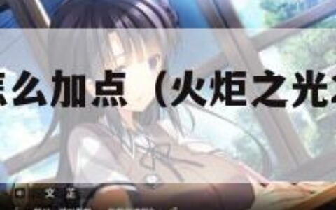 火炬之光2怎么加点（火炬之光2增加属性点）